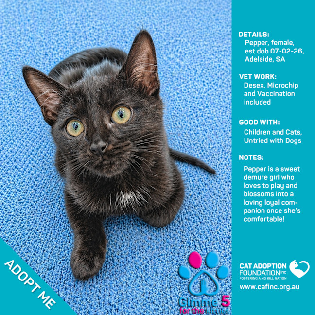 Photo of Pepper