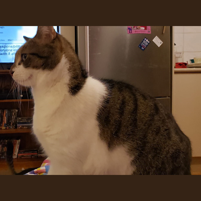 Photo of Muffin And Boofus