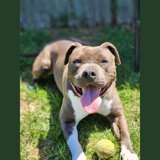 Photo of 🍧 Sassy 6524 🍧