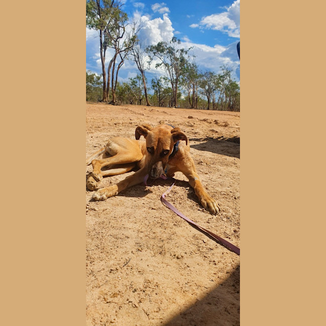 Photo of Gus