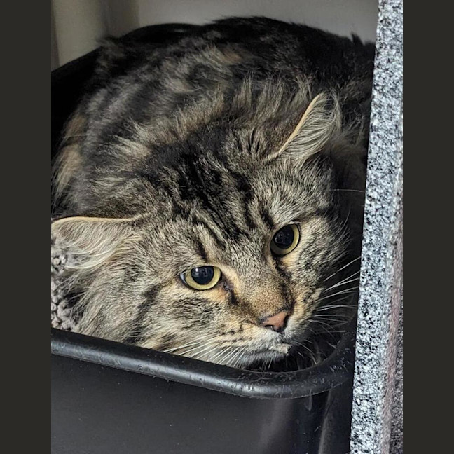 Photo of Billy