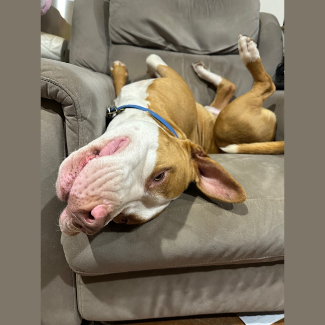 Photo of Zipper