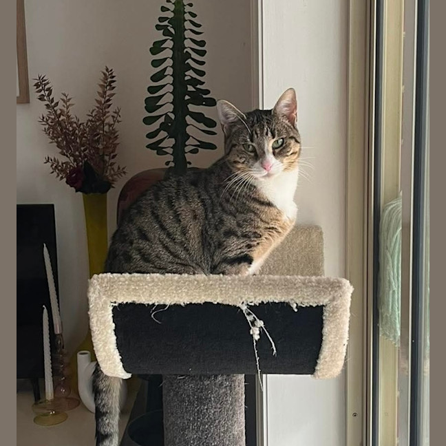 Photo of Flo 