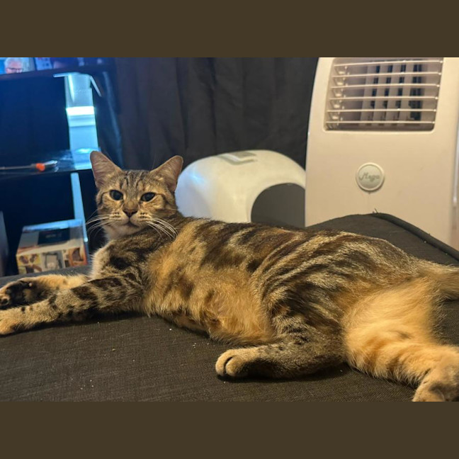 Photo of Angel