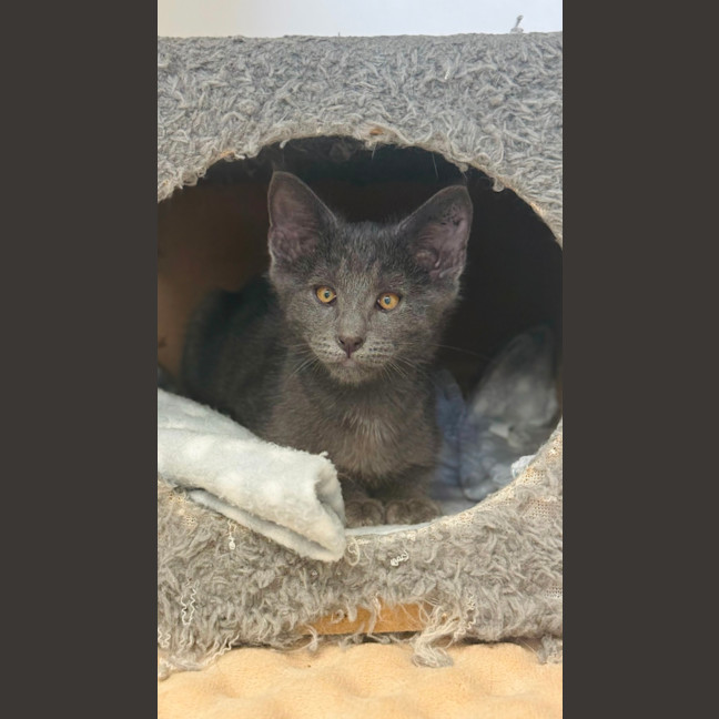 Photo of Wiggles