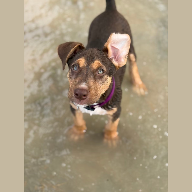 Photo of Winnie