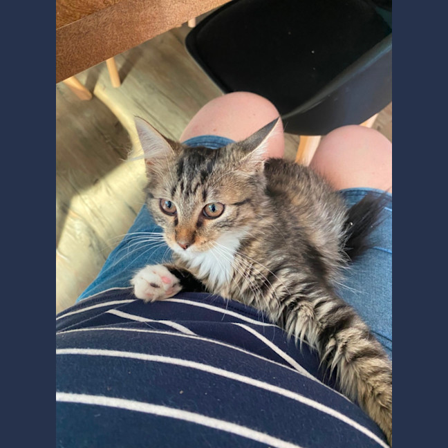 Photo of Abigail   Meet Me At Pet Stock Keysborough