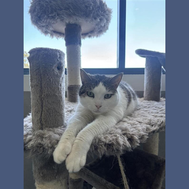 Photo of Sammi