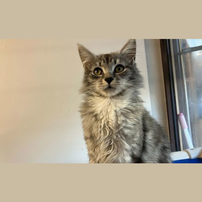 Photo of Jasper
