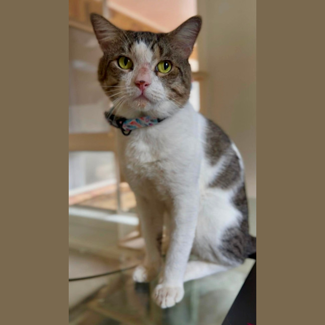 Photo of Hermes