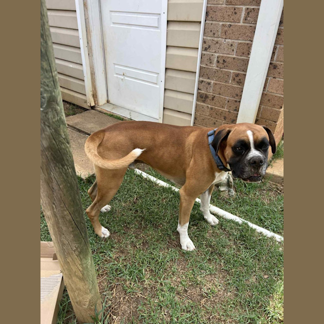 Photo of Barkley