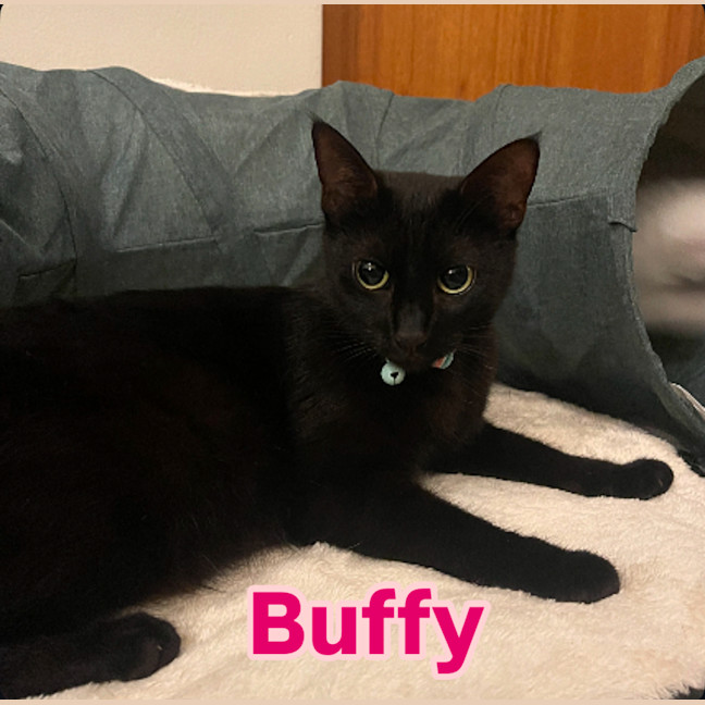 Photo of Buffy