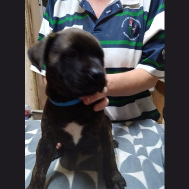 Photo of Zeus