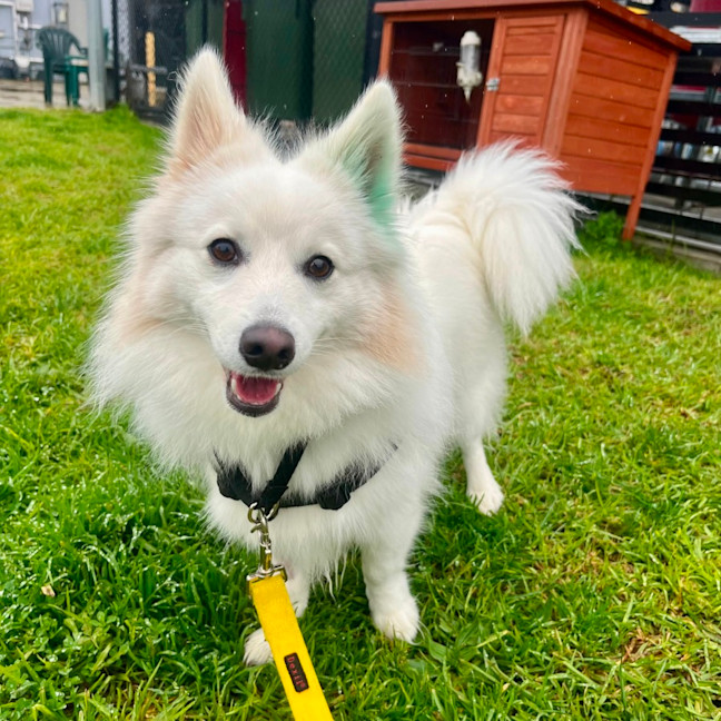 Photo of Happy