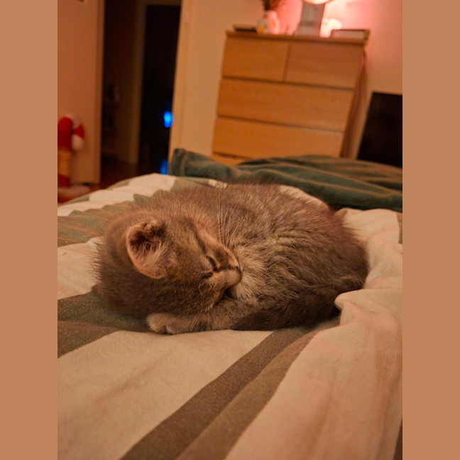 Photo of Princeton