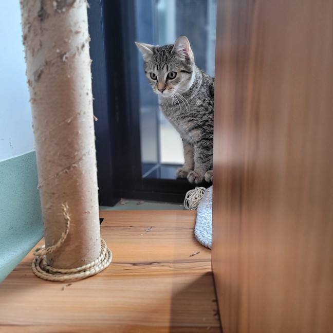 Photo of Oliver