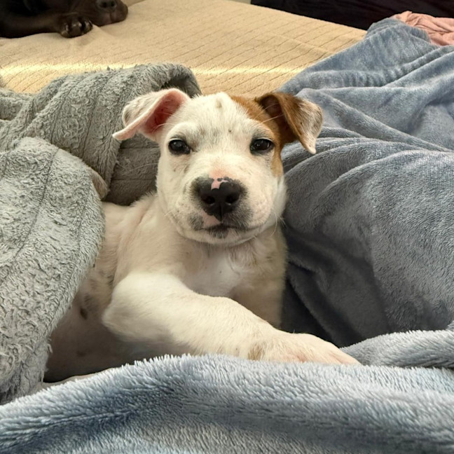 Photo of Mickey