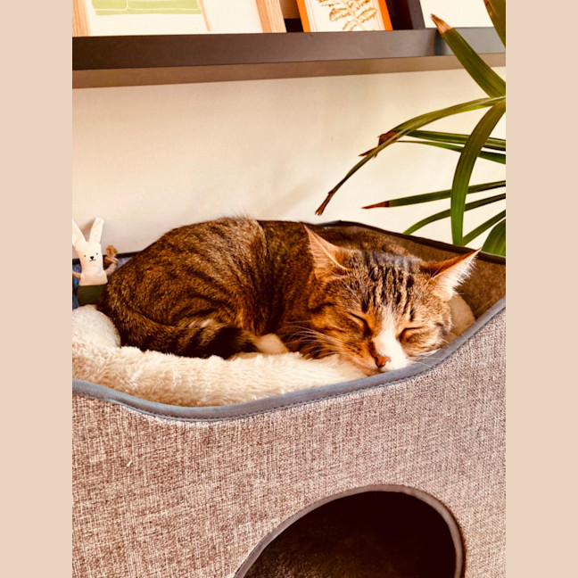 Photo of Kaiya
