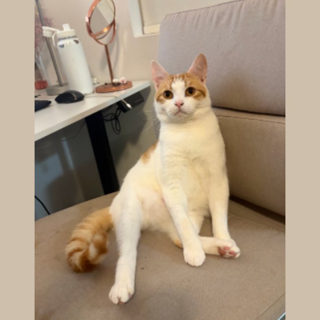 Photo of Clive