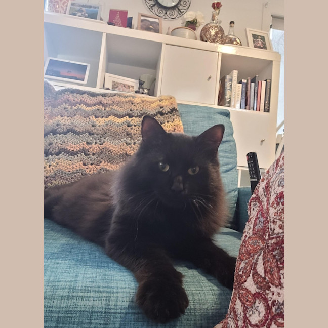 Photo of Pepper