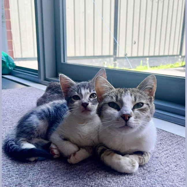 Photo of Penny & Gavin 