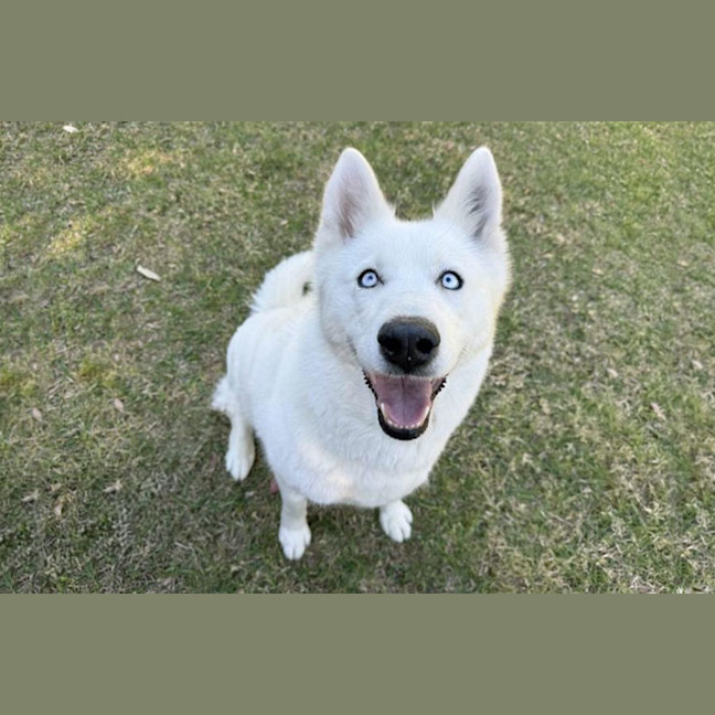 Photo of Heidi