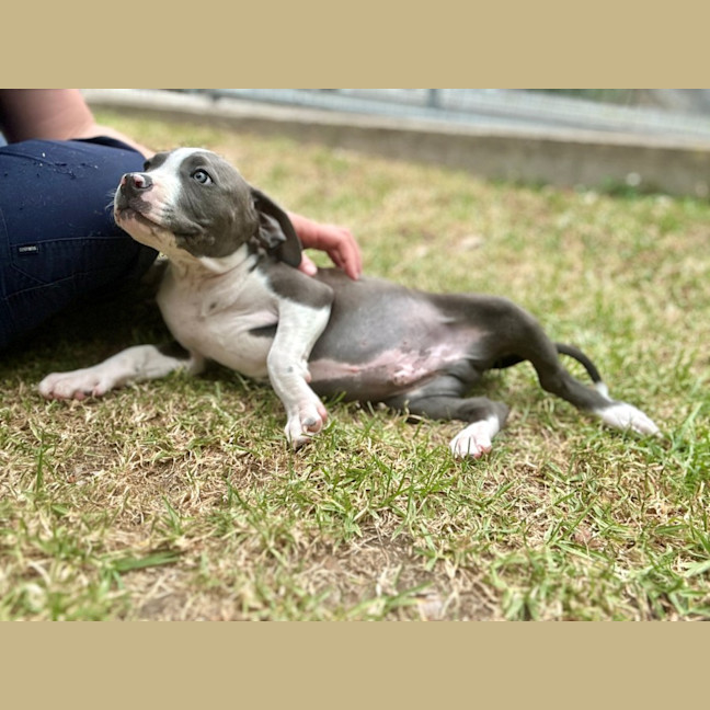 Photo of Luigi