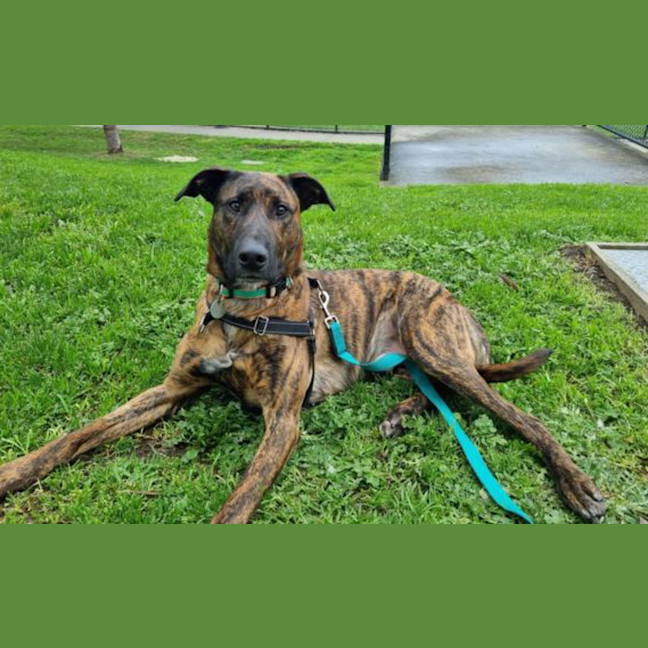 Photo of Bilbo Waggins