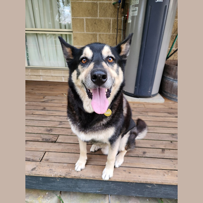 Photo of Ace Ventura