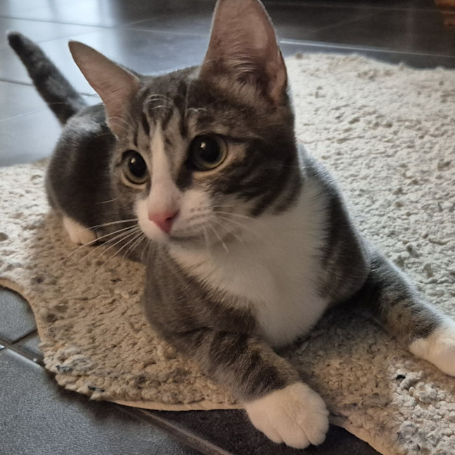 Photo of Lumi