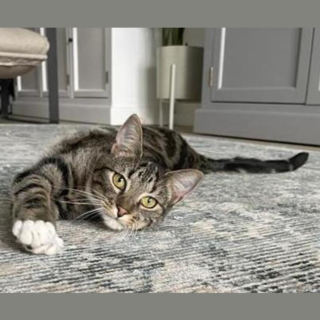 Photo of Sally Junior