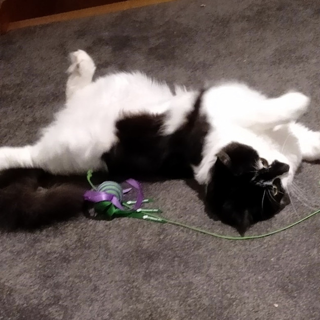 Photo of Kyle Rsta011628