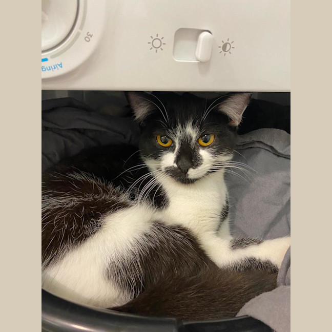 Photo of Bella 