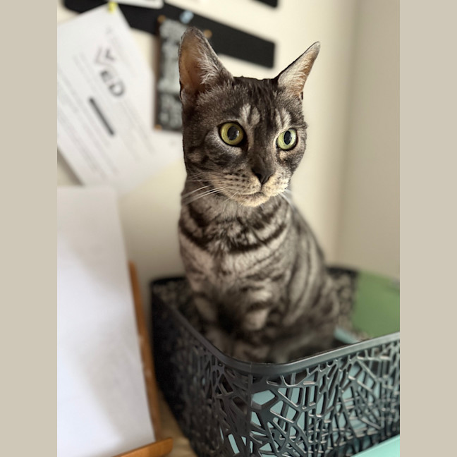 Photo of Asher