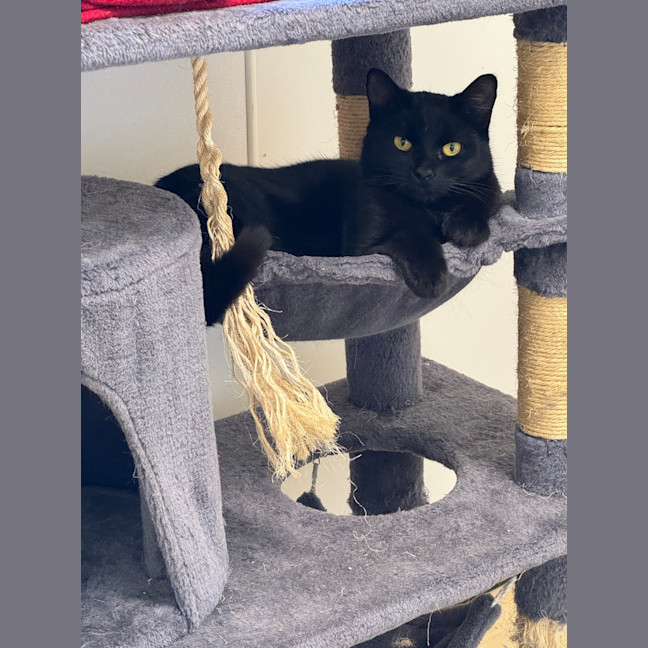 Photo of Archie
