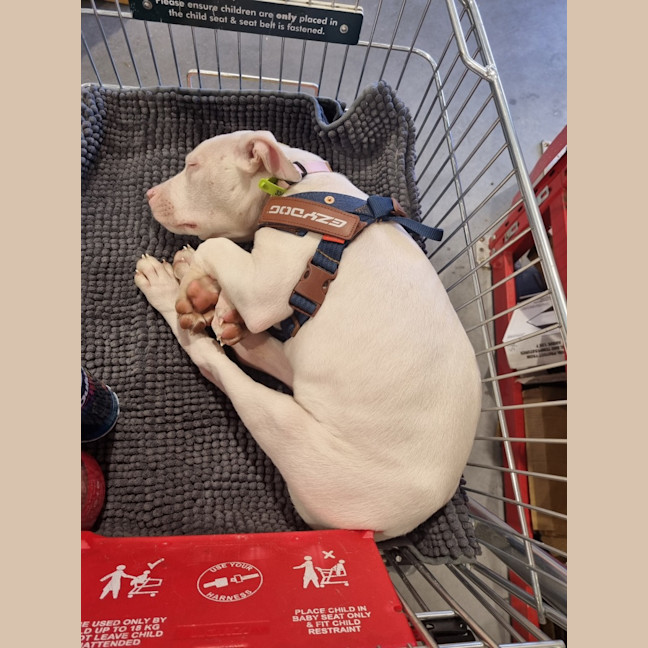 Photo of Winifred (Winnie)