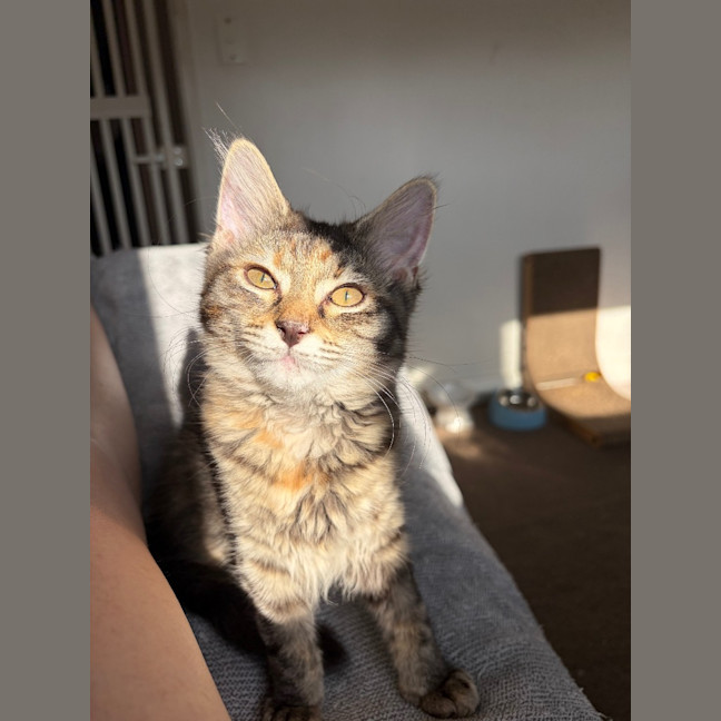 Photo of Francesca Moo