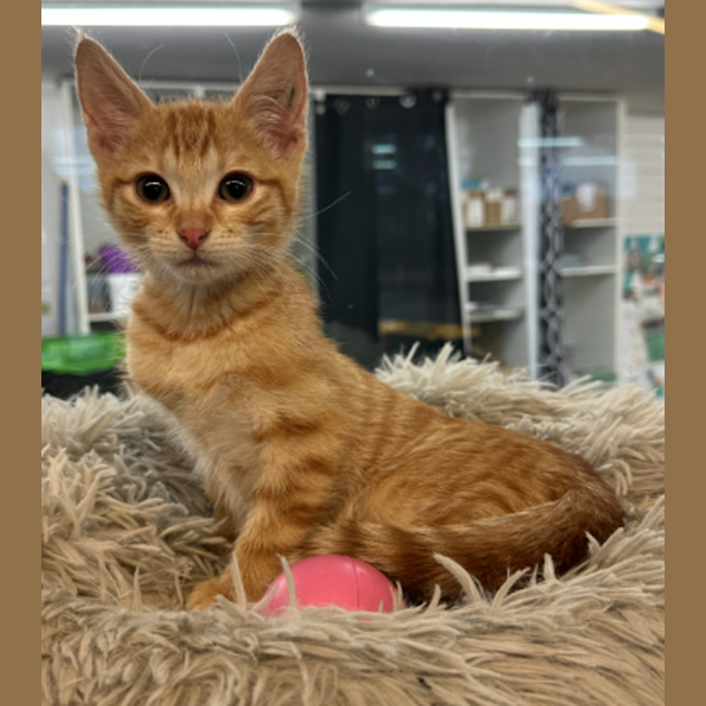 Photo of Traveller Steve