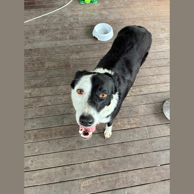 Photo of Lucy 