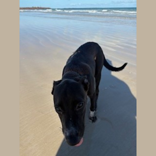 Photo of Rudi