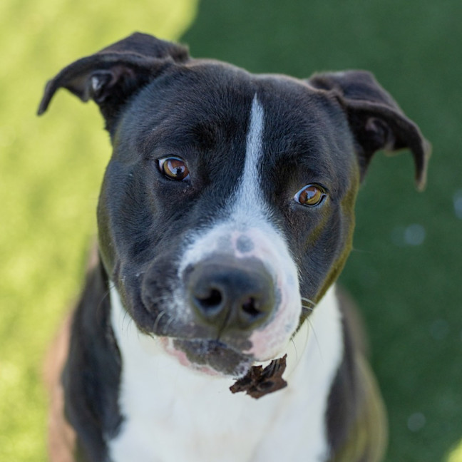 Photo of Michael Imp 205