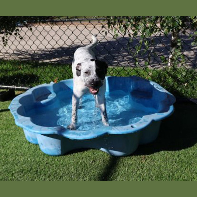 Photo of Missy