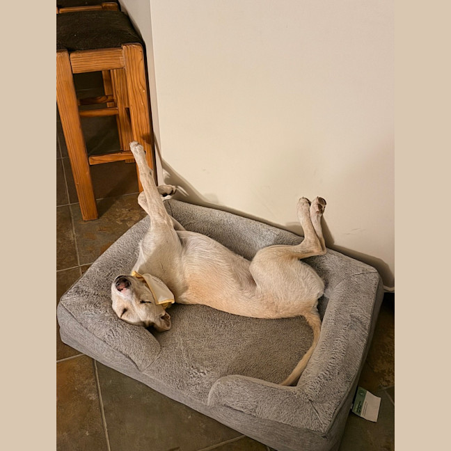 Photo of Dolly Pawton