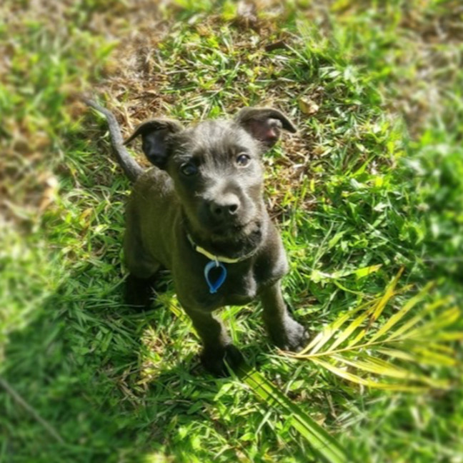 Photo of Agatha