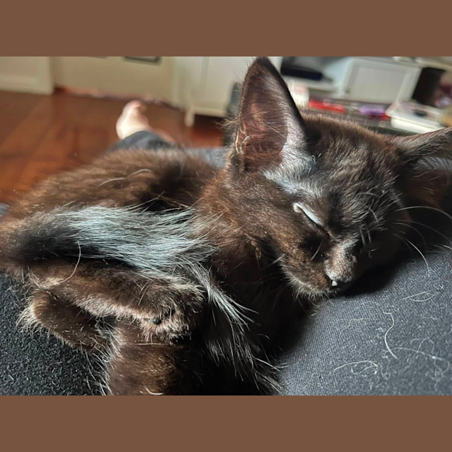 Photo of Chloe