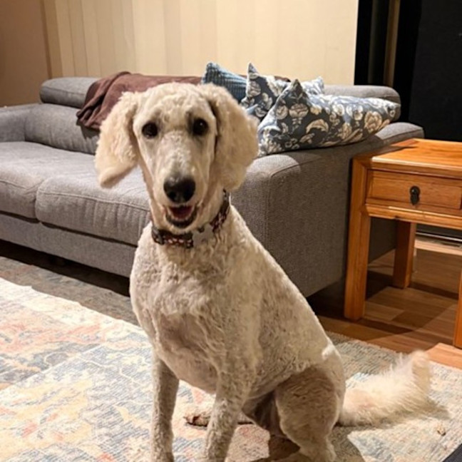 Photo of Penelope