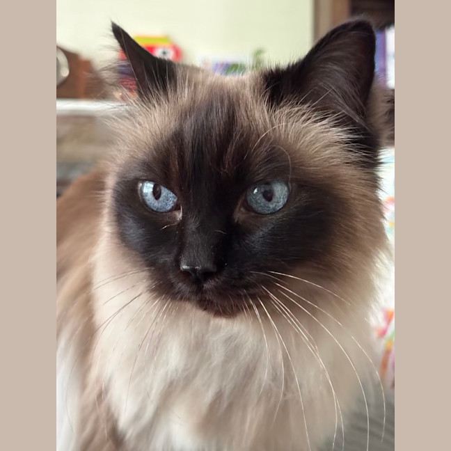 Photo of Kiki