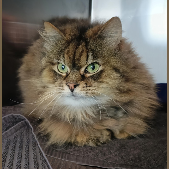 Photo of Marty