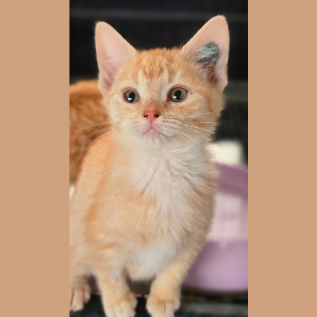 Photo of Esmerelda