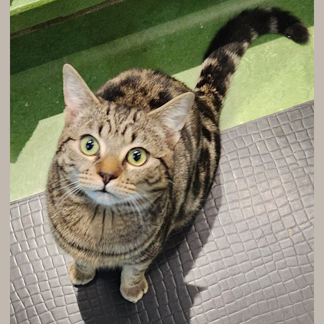Photo of Zorg